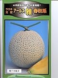 アールス　雅　春秋系　　　横浜植木のメロン種です