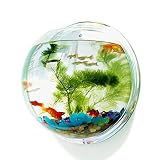 インテリア 壁掛け水槽 飾り アクアリウム 観葉植物を入れて ストーン 水草 金魚鉢 や 花瓶 として 癒しミラーバック (32.5cm)