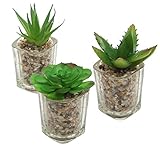Set of 3 Miniクリアガラスで人工多肉植物ポット