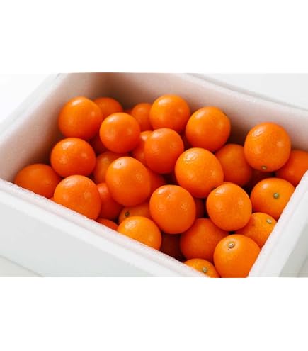 Amazon.co.jp: 【最高糖度18度】 減農薬 宮崎産 完熟 きんかん 1kg 3L