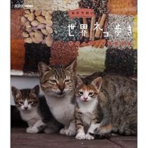 Amazon.co.jp: 岩合光昭の世界ネコ歩き ブルガリア ブルーレイ【NHK