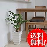 フィロデンドロン クッカバラ H60 造花 人工観葉植物 フェイクグリーン CT触媒