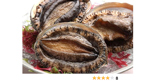 Amazon 絆あわび 天然黒赤あわびのつがいセット 各170g 0g あわび マルカ水産 鮮魚 通販 Amazon 絆あわび 天然黒赤あわびのつがいセット 各170g 0g あわび マルカ水産 鮮魚 通販