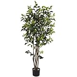 Nearly Natural 5333 Ficus Bushy Silk Tree, 5-Feet, Green by Nearly Natural