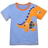OKIDSO 子供ポロシャツ　男児Tシャツ　ベビー服　普段着　学校用　旅行用　夏秋新作　綿100%　半袖　刺繍　ブルー　100-140CM カワイイ (110CM, ドラゴン)