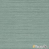 のりなし壁紙/1m単位 カット販売/東リ/パワー1000/不燃認定 エアファインパワー 抗菌防臭・消臭/【CC-WVP9375】/JQ