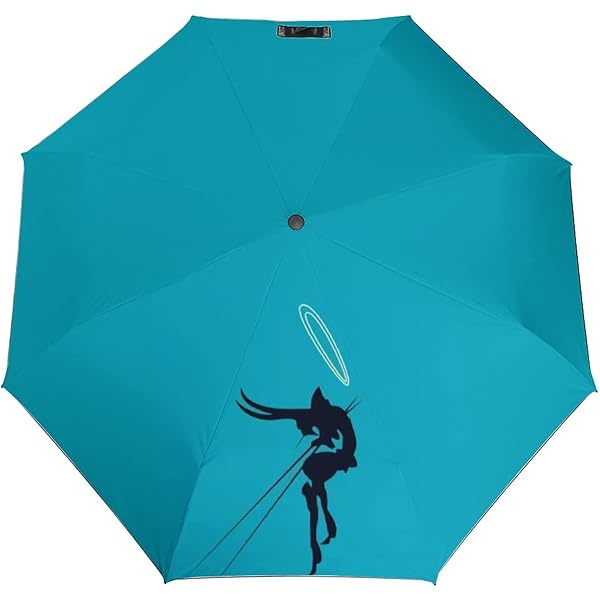 エヴァンゲリオン アスカ レイ 傘 Amazon.co.jp: SAOKA(サオカ) EVA新世紀エヴァンゲリオン傘雨具