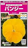 サカタのタネ 実咲花5596 パンジー パシオ クリアイエロー 00905596