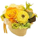 プリザーブドフラワー カルム オレンジ