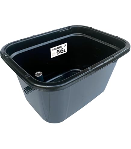 Amazon | 五色アクア メダカ飼育容器 75リットル 深緑（ダーク