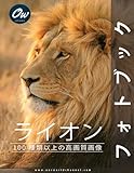 ライオン: フォトブック