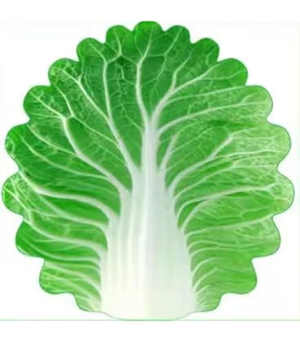 sachiI INVEL ブランケット 大 140×200cm　グリーン アライヴン INVEL ブランケット小 ビューティーシャイニー限定品