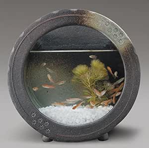 黒釉丸水槽 小 信楽焼 金魚鉢 陶器 置物 めだか鉢 水鉢 鉢 Amazon