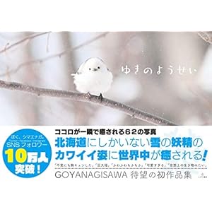 ゆきのようせい ゆきのようせい