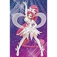 ハートキャッチプリキュア！ S.H.Figuarts キュアブロッサム スーパーシルエット