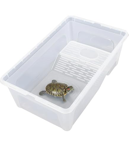 Amazon | ジェックス カメ元気 かんたん飼育セットST | GEX | 飼育