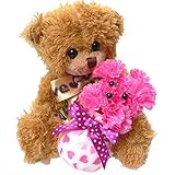 母の日 花ギフト 母の日プレゼント テディベアとカーネーションプードルセット カーネーションで作ったプードル 母の日 花 母の日 ギフト ランキング 母の日 カーネーション (母の日テディベア