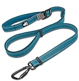 cocomall 犬 犬用リード １本で色々使える多機能リード 調節できるリード 伸縮リード 小型、中型、大型犬用リード 訓練リード ロングリード ペット用品 ハーネス 3M反射材料 ナイロン製 通気性 調節可能 メッシュペット (ロイヤルブルー)