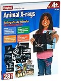 R5910 Animal X-Ray Set, 8" x 10" Size