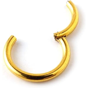 From da Phactory 軟骨ピアス ボディピアス 16G 14G セグメントリング ヒンジ付き ワンタッチタイプ チタン トラガス ヘリックス イヤーロブ (ゴールド 14G-10mm)