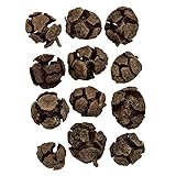 大地農園 ドライフラワー ピナスカプリシャス (80g入り) DO022671-000