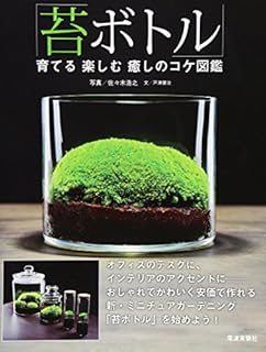苔テラリウム 100円ショップのボトルで手軽に始められるテーブル園芸