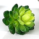 Liebeye 多肉植物 人工 人工観葉植物 造花 真似 マイクロ景観 ミニ景観 家飾り 屋内 シミュレーション 工場の装飾 オフィス飾り インテリア 創造的 DIY おしゃれ グリーン