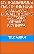 MY TREMENDOUS YEAR IN THE HUGE SHADOW OF DONALD TRUMP'S AWESOME ORANGE BIGLINESS. (English Edition)