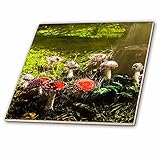 3drose Scenes from the Pastマジックランタン – ヴィンテージFantasticファンキーFungus Mushrooms in the Forest 1890年代 – タイ