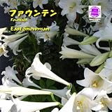 クリエーター情報なし