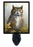 Owl Night Light – MR。Owl