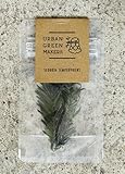 URBAN GREEN MAKERS Leaf　リーフ　UGMカスタムパーツ (SEQUOIA SEMPERVIRENS)