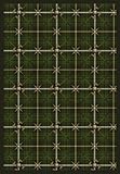 Joy Carpets Sports Fan Saint Andrews Sports Area Rugs 46-Inch by 64-Inch by 0.36-Inch Pine [並行輸入品]