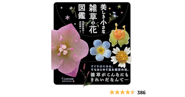 もっと美しき小さな雑草の花図鑑