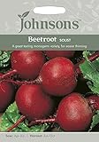 JOVE 英国ジョンソンシード Beetroot Solist F1 ビートルート・ソリスト・F1