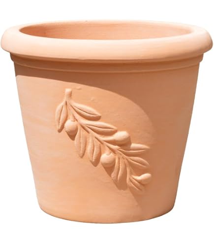 Amazon | ベトナム鉢 大型 植木鉢 ハリ L41(39cm) テラコッタ 素焼き鉢