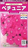 サカタのタネ 実咲花5677 ペチュニア バカラ ピンク 10袋セット