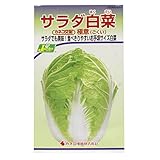 カネコ種苗 野菜タネハイクオリティ サラダ白菜 極意 10袋セット 260