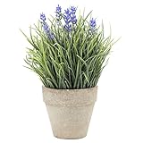 MyGift Small人工植物で素朴なセラミックプランターポット グリーン TB-DECO0671GRN