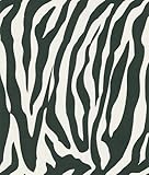 Brewster 405-46966 National Geographic Home Congo White Zebra Wallpaper by Brewster