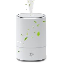 Amazon.co.jp: 【2025発売新モデル・一台多役】加湿器 アロマ