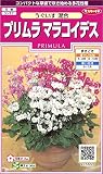 サカタのタネ 実咲花5655 プリムラ マラコイデス うぐいす混合 00905655
