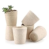 T4U 8.2CM 粘土 ミニ植木鉢 ラウンドカップシェイプ 多肉植物 サボテン鉢 フラワーポット プランター容器　クリーム色 6個入り
