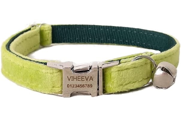 市場 2個セット ベーシック首輪 可愛い 犬 バックル調節可能 ペット首輪 猫