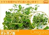 サラダにも入浴剤にも 「オレガノ」ハーブ缶 殺菌作用のあるハーブ