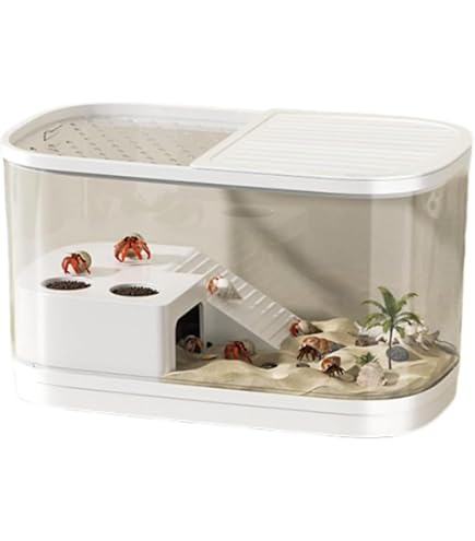 Amazon | Brici ヤドカリ飼育ケース 小型生態水槽 多機能飼育箱 登り台