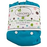 Osocozy All in One Cloth Diaper, Aqua, Large by OsoCozy [並行輸入品]