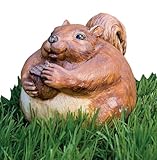 Evergreen Enterprises Inc Squirrel Portly Medium