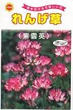 アタリヤ農園 ガーデニング用品 種 れんげ
