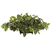 Nearly Natural Pothos Silk Plant with Decorative Planter by Nearly Natural
